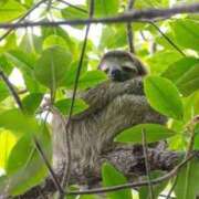 ヒメ日記 2025/12/19 15:12 投稿 しゃあ メンヘラ専門デリヘル ゼロワン 横浜本店