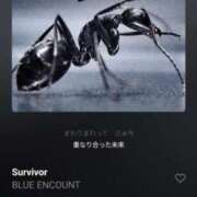 ヒメ日記 2026/01/11 22:32 投稿 しゃあ メンヘラ専門デリヘル ゼロワン 横浜本店