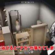 ヒメ日記 2026/01/24 14:42 投稿 しゃあ メンヘラ専門デリヘル ゼロワン 横浜本店