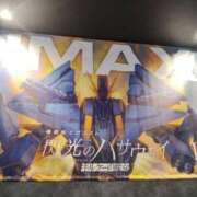 ヒメ日記 2026/01/29 12:52 投稿 しゃあ メンヘラ専門デリヘル ゼロワン 横浜本店