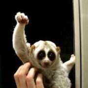 ヒメ日記 2026/02/01 18:32 投稿 しゃあ メンヘラ専門デリヘル ゼロワン 横浜本店