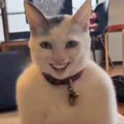 ヒメ日記 2026/02/06 13:42 投稿 しゃあ メンヘラ専門デリヘル ゼロワン 横浜本店