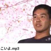 ヒメ日記 2026/02/14 17:52 投稿 しゃあ メンヘラ専門デリヘル ゼロワン 横浜本店