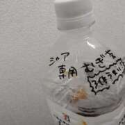 ヒメ日記 2026/03/01 04:52 投稿 しゃあ メンヘラ専門デリヘル ゼロワン 横浜本店
