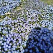 ヒメ日記 2026/04/18 19:52 投稿 しゃあ メンヘラ専門デリヘル ゼロワン 横浜本店