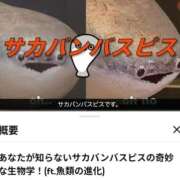 ヒメ日記 2026/05/04 07:02 投稿 しゃあ メンヘラ専門デリヘル ゼロワン 横浜本店