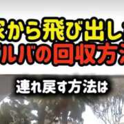 ヒメ日記 2026/05/16 01:52 投稿 しゃあ メンヘラ専門デリヘル ゼロワン 横浜本店