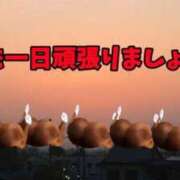 ヒメ日記 2026/05/30 18:52 投稿 しゃあ メンヘラ専門デリヘル ゼロワン 横浜本店
