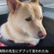 ヒメ日記 2026/06/02 15:45 投稿 しゃあ メンヘラ専門デリヘル ゼロワン 横浜本店