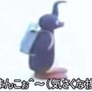 ヒメ日記 2026/07/16 12:42 投稿 しゃあ メンヘラ専門デリヘル ゼロワン 横浜本店
