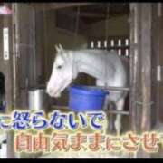 ヒメ日記 2026/07/19 04:02 投稿 しゃあ メンヘラ専門デリヘル ゼロワン 横浜本店