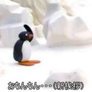 ヒメ日記 2026/07/26 19:02 投稿 しゃあ メンヘラ専門デリヘル ゼロワン 横浜本店