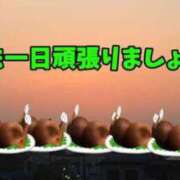 ヒメ日記 2026/09/24 15:42 投稿 しゃあ メンヘラ専門デリヘル ゼロワン 横浜本店