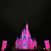 ヒメ日記 2026/02/22 20:20 投稿 かえで ビデオdeはんど すすきの校