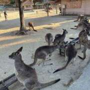 ヒメ日記 2025/11/24 15:15 投稿 穂波(ほなみ)♥愛嬌とエロス 美魔女コレクション