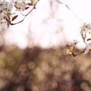 ヒメ日記 2025/06/16 00:42 投稿 かほ 治療院.LOVE 宇都宮店