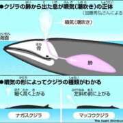ヒメ日記 2025/03/31 01:41 投稿 ごしょがわら ナメすぎサークル立川店