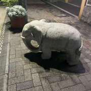 ヒメ日記 2025/07/17 09:29 投稿 ごしょがわら ナメすぎサークル立川店