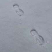 ヒメ日記 2026/02/08 12:02 投稿 ごしょがわら ナメすぎサークル立川店