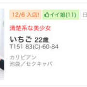 ヒメ日記 2025/02/18 17:50 投稿 いちご カリビアン