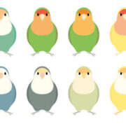 ヒメ日記 2025/03/21 17:04 投稿 いちご カリビアン