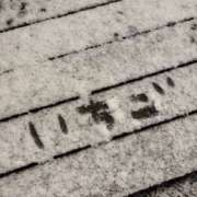 ヒメ日記 2025/04/19 21:01 投稿 いちご カリビアン