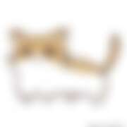 ヒメ日記 2025/07/15 10:31 投稿 いちご カリビアン