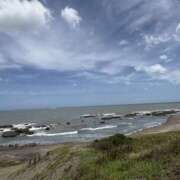 ヒメ日記 2025/07/19 11:32 投稿 いちご カリビアン