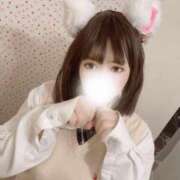 ヒメ日記 2024/12/18 02:23 投稿 みつは マネLOVE