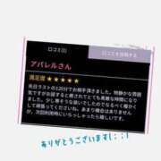 ヒメ日記 2025/02/02 15:46 投稿 こゆき スピードエコ京橋店