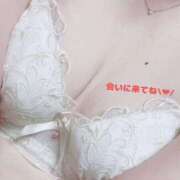 ヒメ日記 2025/04/18 11:02 投稿 こゆき スピードエコ京橋店