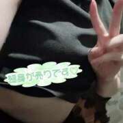 ヒメ日記 2025/06/06 19:01 投稿 こゆき スピードエコ京橋店