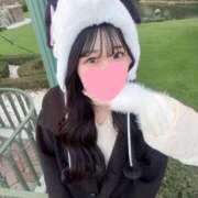 ヒメ日記 2024/12/30 12:13 投稿 らな【愛嬌最強なモデル級美女】 STELLA NEXT－ステラネクスト－