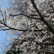 ヒメ日記 2025/03/31 02:15 投稿 くるみ～M性感～ アメイジングビル～道後最大級！遊び方無限大∞ヘルス♪～