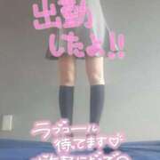 ヒメ日記 2024/12/13 12:21 投稿 きいか サンキュー沼津店（サンキューグループ）