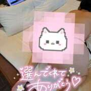 ヒメ日記 2024/12/13 20:33 投稿 きいか サンキュー沼津店（サンキューグループ）