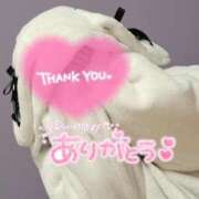 ヒメ日記 2025/04/08 05:11 投稿 きいか サンキュー沼津店（サンキューグループ）