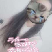 ヒメ日記 2025/04/09 17:21 投稿 きいか サンキュー沼津店（サンキューグループ）