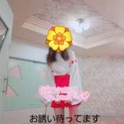 ヒメ日記 2025/05/12 17:51 投稿 きいか サンキュー沼津店（サンキューグループ）