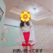 ヒメ日記 2025/11/16 15:02 投稿 きいか サンキュー沼津店（サンキューグループ）