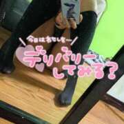 きいか オプション サンキュー沼津店（サンキューグループ）