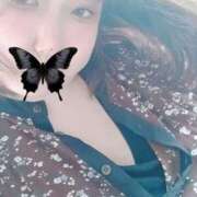 ヒメ日記 2024/12/17 00:32 投稿 あるか 人妻㊙︎倶楽部