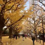 ヒメ日記 2025/12/07 21:12 投稿 眞白かんな(ましろかんな) 東京ヒストリー lettre d'amour