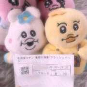 ヒメ日記 2025/05/10 06:24 投稿 ぴょな サティアンまーと