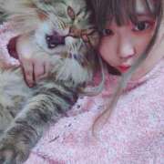 つぼみ おやすみなさい🌙 君とふわふわプリンセスin立川