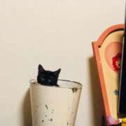 つぼみ こんばんは🌙 君とふわふわプリンセスin立川