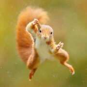 ヒメ日記 2025/09/30 22:21 投稿 あすみ 秋葉原コスプレ学園(AKG)