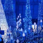 ヒメ日記 2025/11/16 22:51 投稿 あすみ 秋葉原コスプレ学園(AKG)