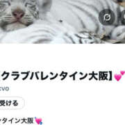 ヒメ日記 2025/12/05 00:47 投稿 希/のぞみ クラブ バレンタイン大阪