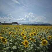 ヒメ日記 2025/09/03 17:22 投稿 エナ【エステ】 マネキン神宮店